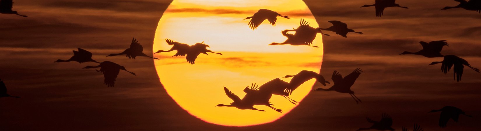 3 Estratégias que geraram ganhos superiores a 20% em 2016