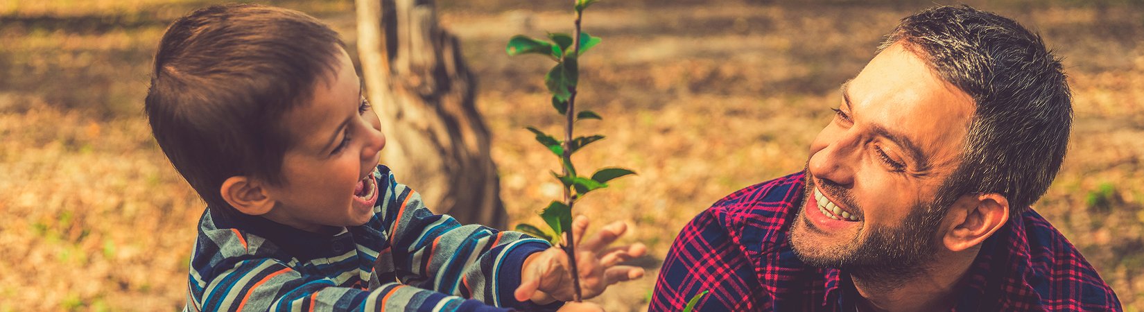 Las mejores acciones de Inversión Socialmente Responsable (ISR) de 2016