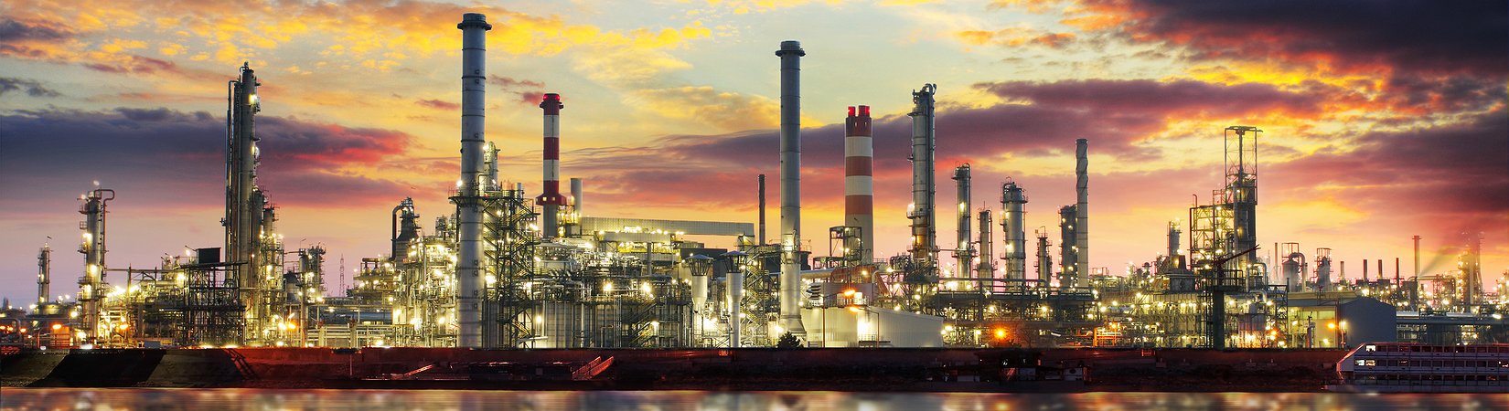 الأقوى سوف يبقى على قيد الحياة