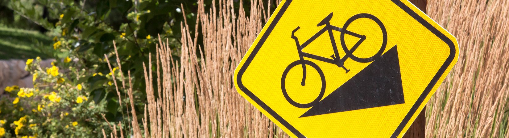 Revisión del mercado de las criptomonedas: noticias más importantes del 05/01/2018