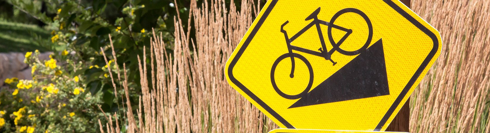 Mercato delle criptovalute: le top news del 5/1/2018