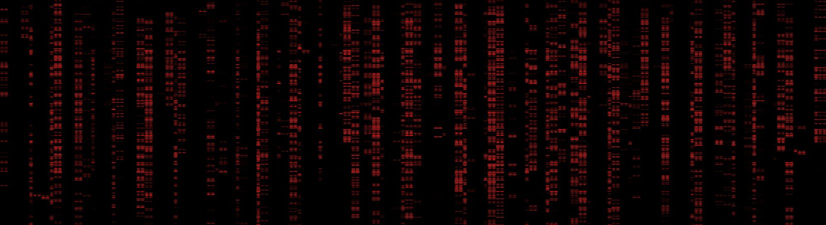 Solana's AMM Raydium Suffers $2M Exploit Attack