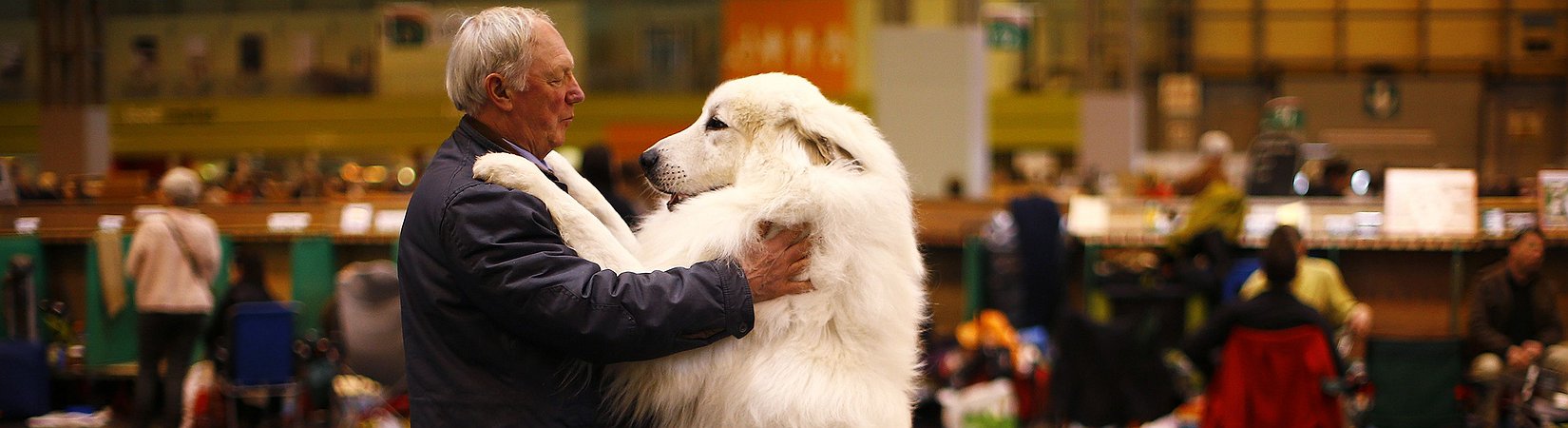 Le più belle foto di animali del 2015
