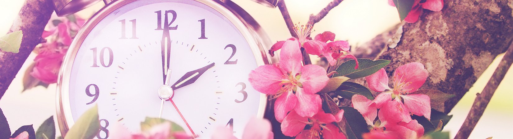 O relógio biológico das empresas