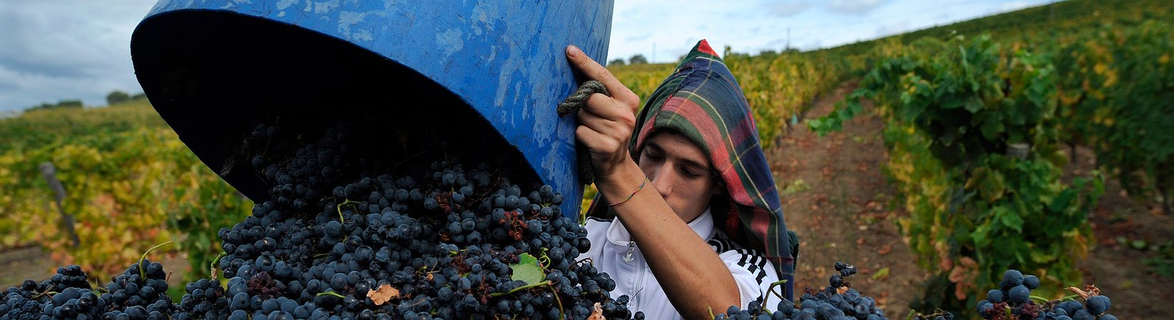 Italia: approvata dalla Camera la legge contro il caporalato