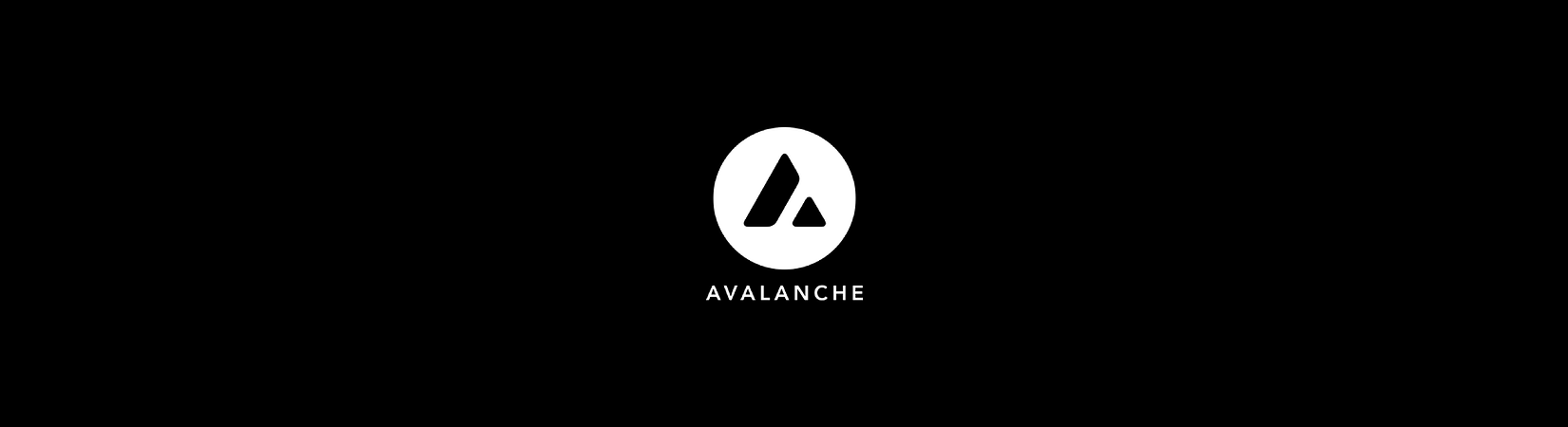USDC Stablecoin Comes to Avalanche Ecosystem