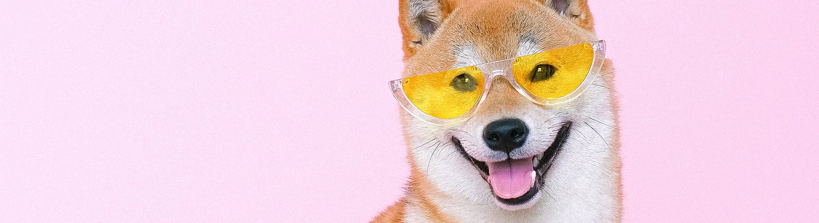 Revolut Explores Listing DOGE: Report