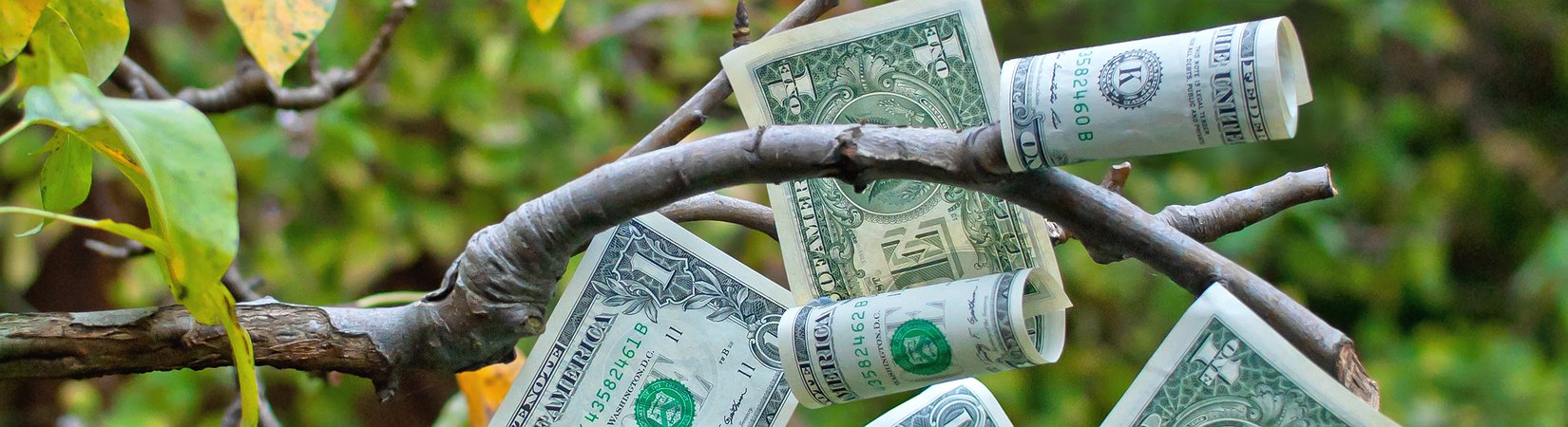 كيف كسبت 120 مليون دولار غير حقيقي