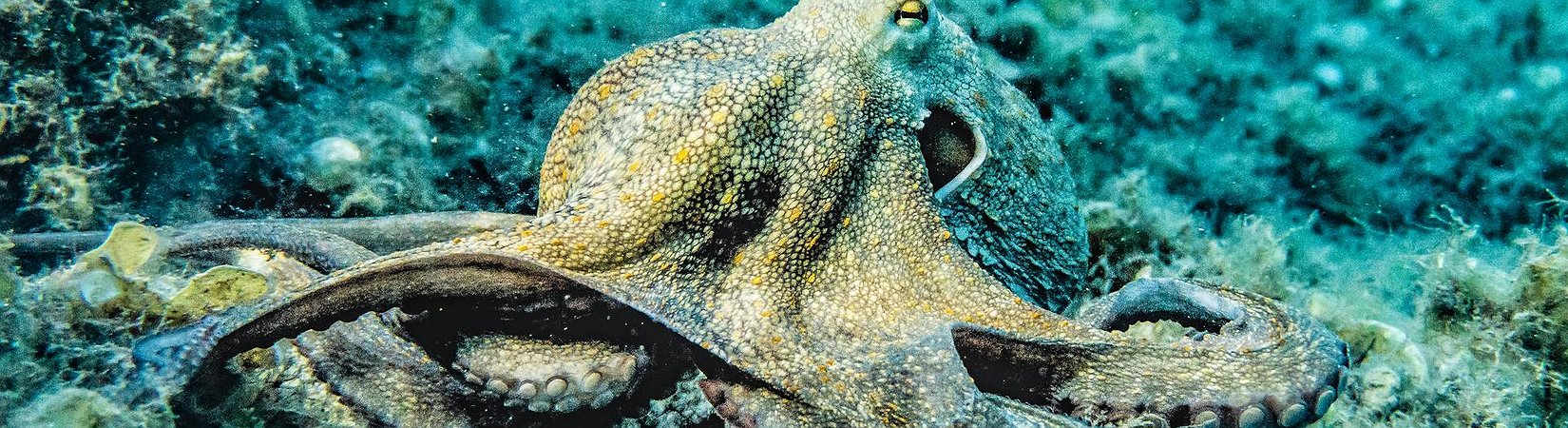 Kraken to Close Deal to Offer Crypto Futures in US