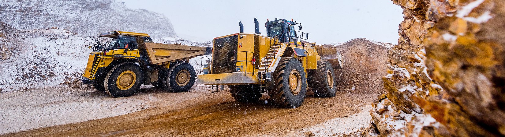 بماذا تستثمر حين يضعف الدولار