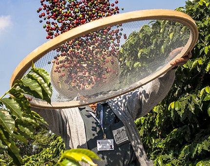 Parceiros comerciais internacionais levantam barreiras a produtos brasileiros