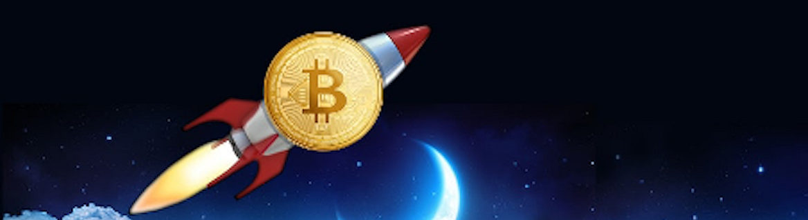 +1,095% to a Crypto Portfolio with RJV12. Scam or Real?