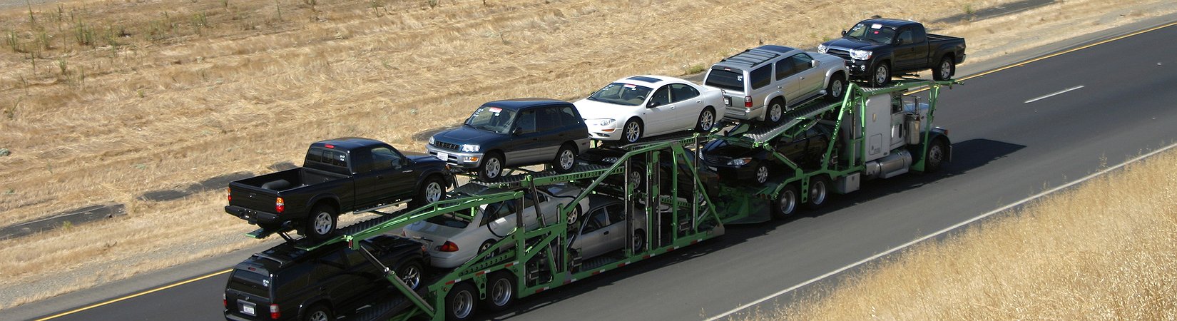 فن اختيار الأسهم