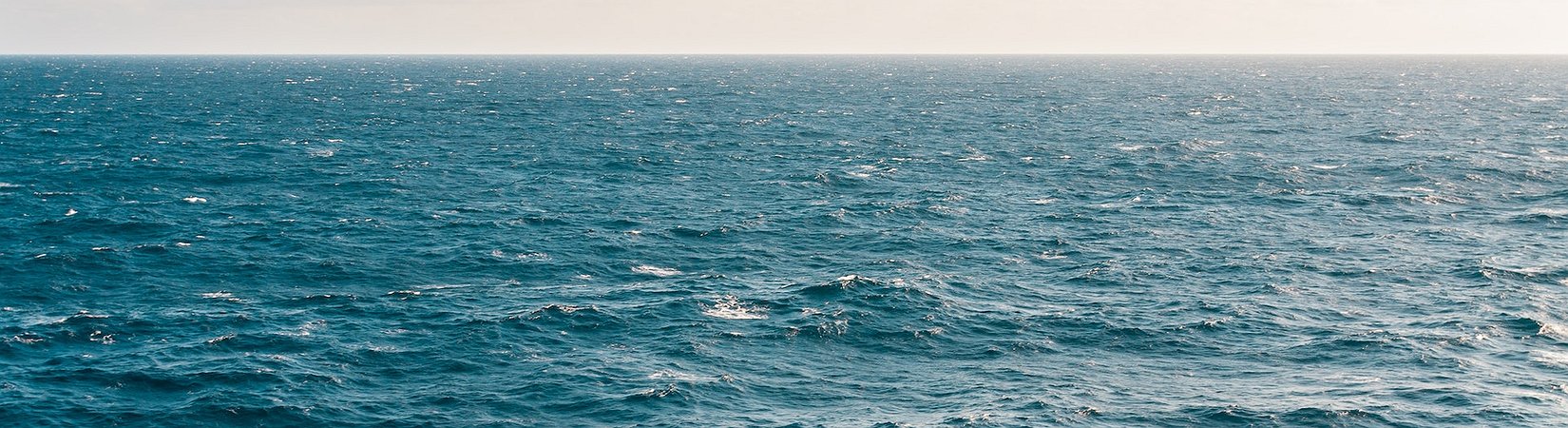 OpenSea CFO Resigns from His Position