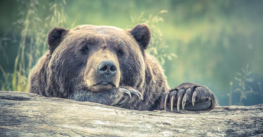 В чем причина слабости крипторынка