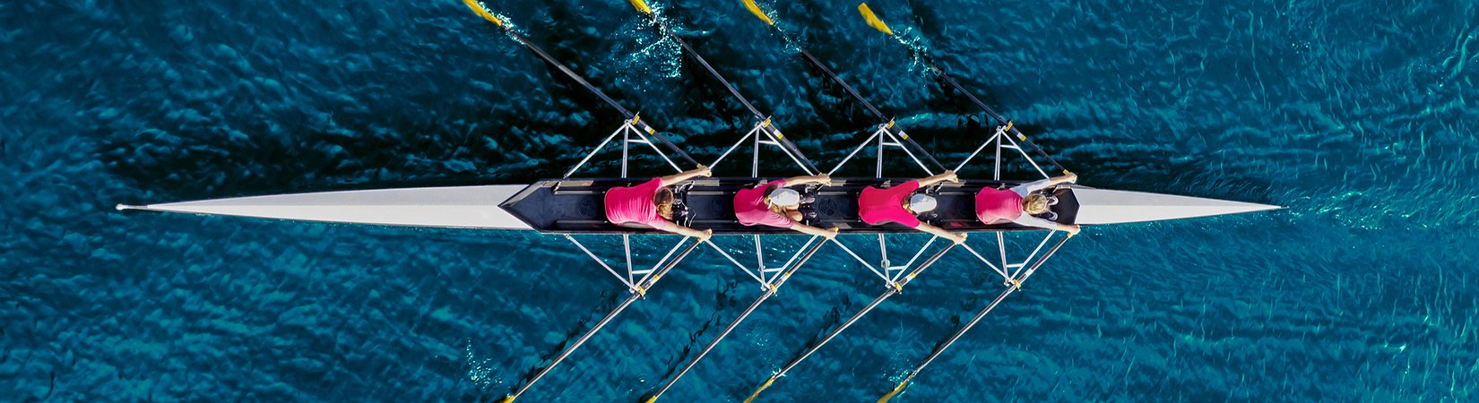 Top Crypto Events of the Week, November 12 - 18