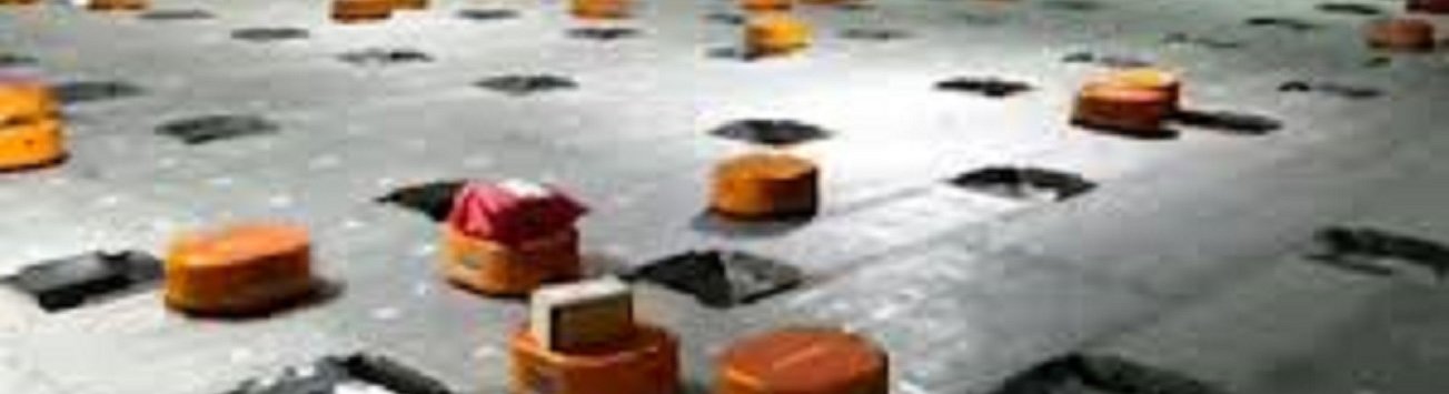 Video shows robot revolution in action at Chinese parcel distribution centre