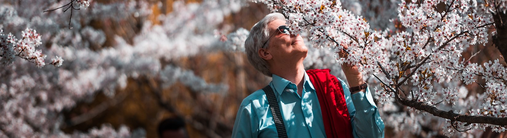 6 Razões pelas quais investidores institucionais poderão liderar a recuperação do mercado de criptomoedas