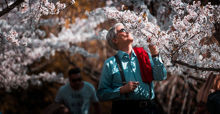 ستة أسباب لماذا سيغدو 2019 عام المستثمرين من الشركات في سوق العملات المشفرة