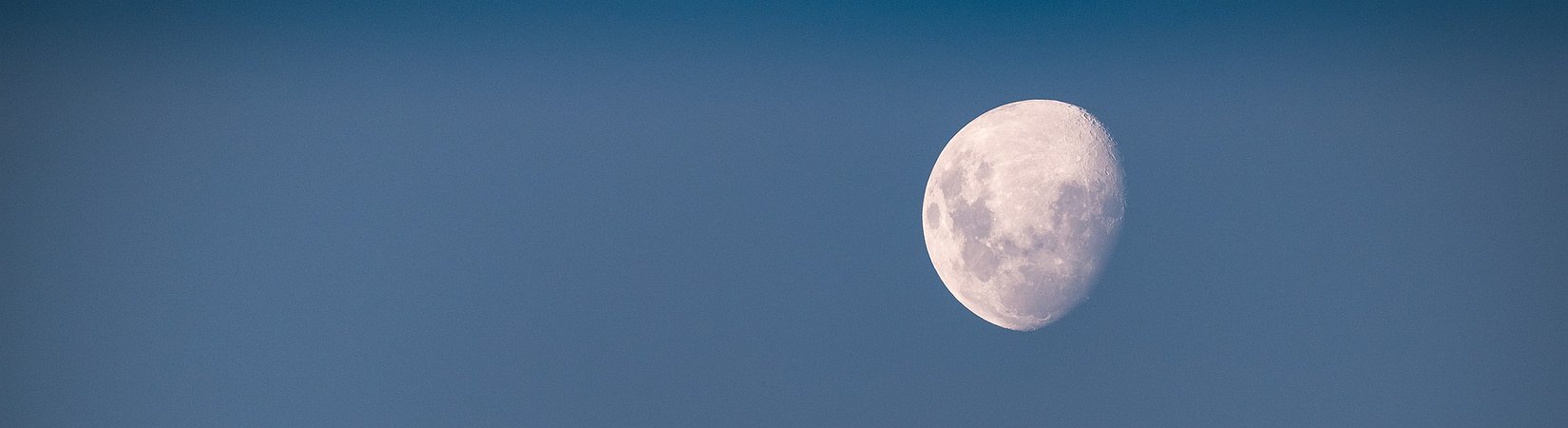 Moonbeam Bolsters the Polkadot Ecosystem’s Value by Supporting An Array of DeFi Projects