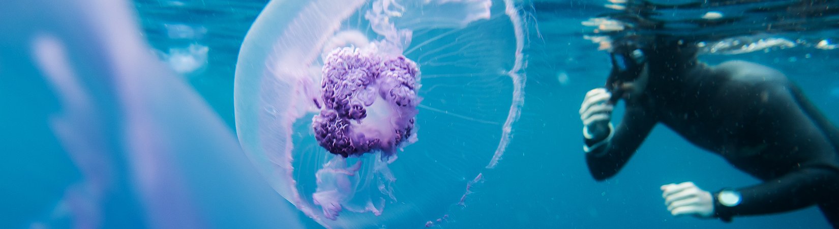 12 trucos que no sirven para absolutamente nada