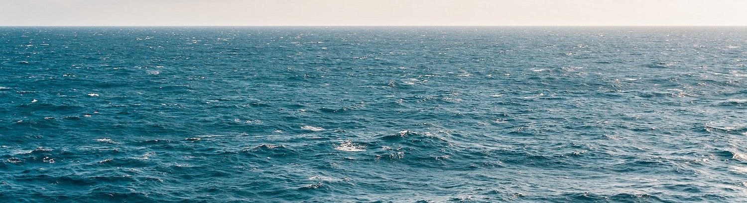 NFT Marketplace OpenSea Adds Support for Arbitrum