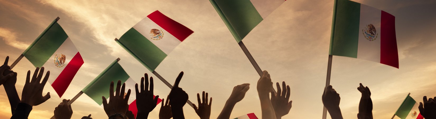Mexico Calls for Bids on Blockchain
