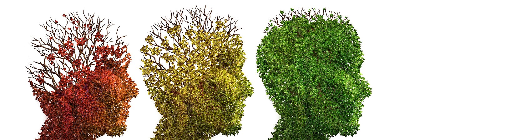 El precio del bitcoin se recupera tras caer por debajo de los 4.000 $