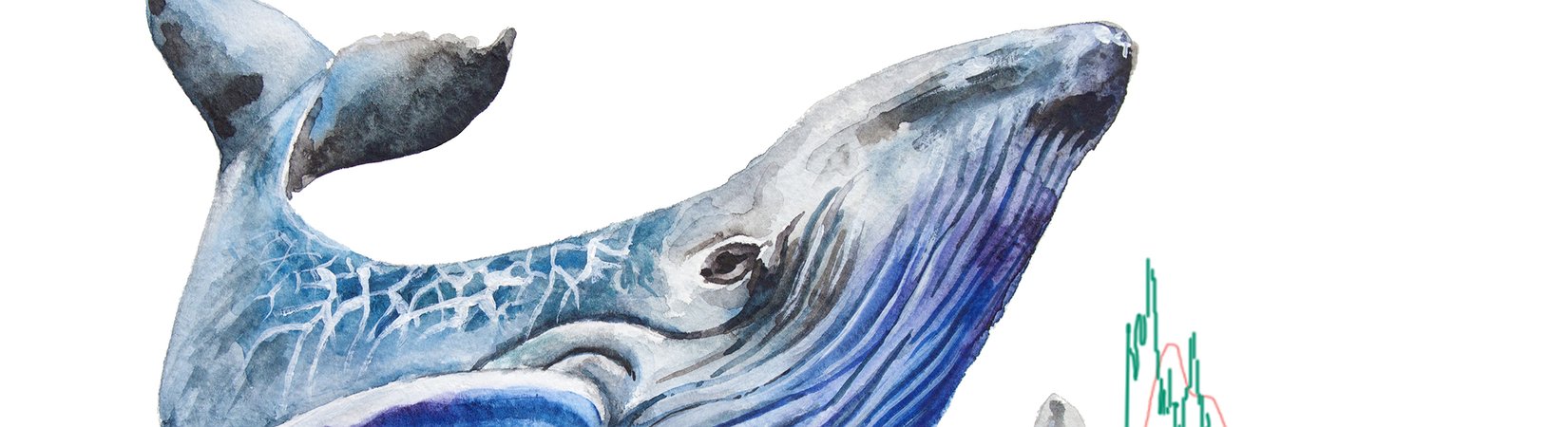 Whales Rejoice in Panic and Buy ETH and LTC?