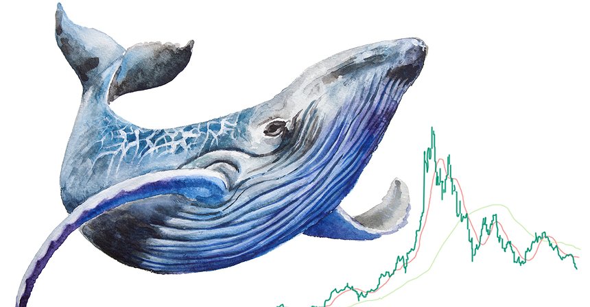 Whales Rejoice in Panic and Buy ETH and LTC?