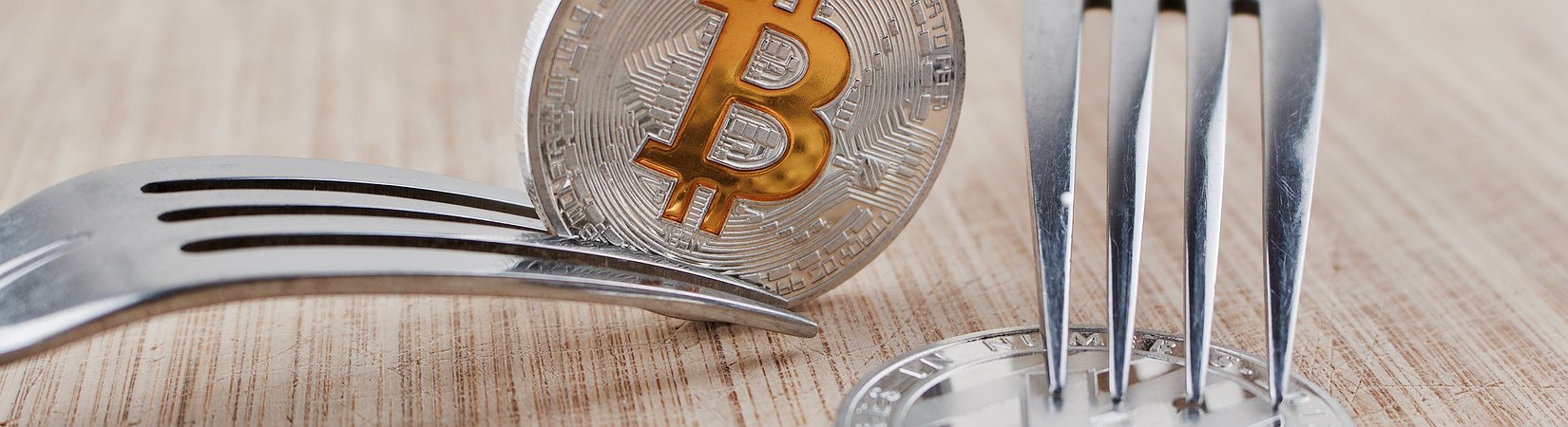 ¿Es el Bitcoin Cash el futuro del bitcoin?