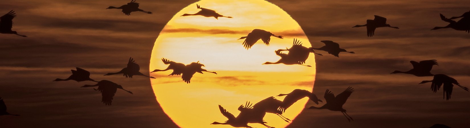 3 strategie che hanno portato un guadagno del 20% nel 2016