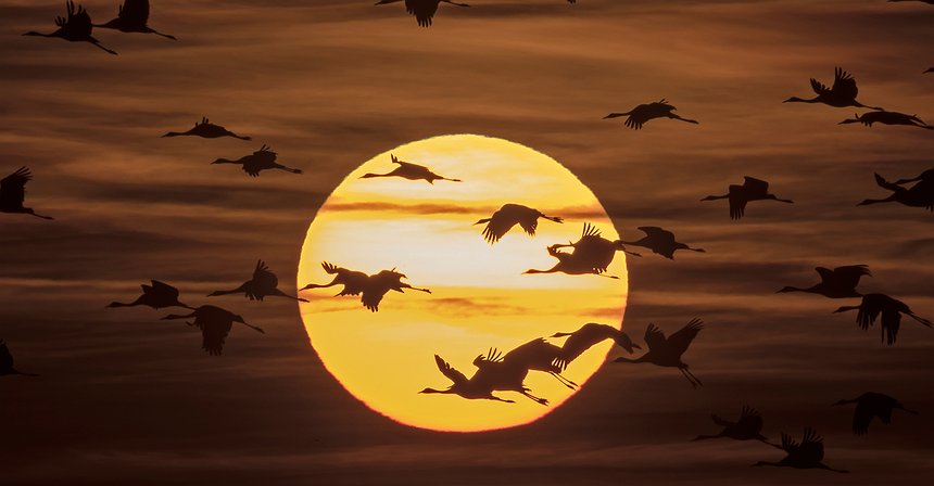 3 strategie che hanno portato un guadagno del 20% nel 2016