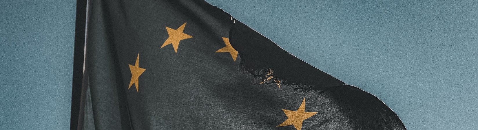 ECB Alarms Over Bitcoin Adoption Among Institutional Investors