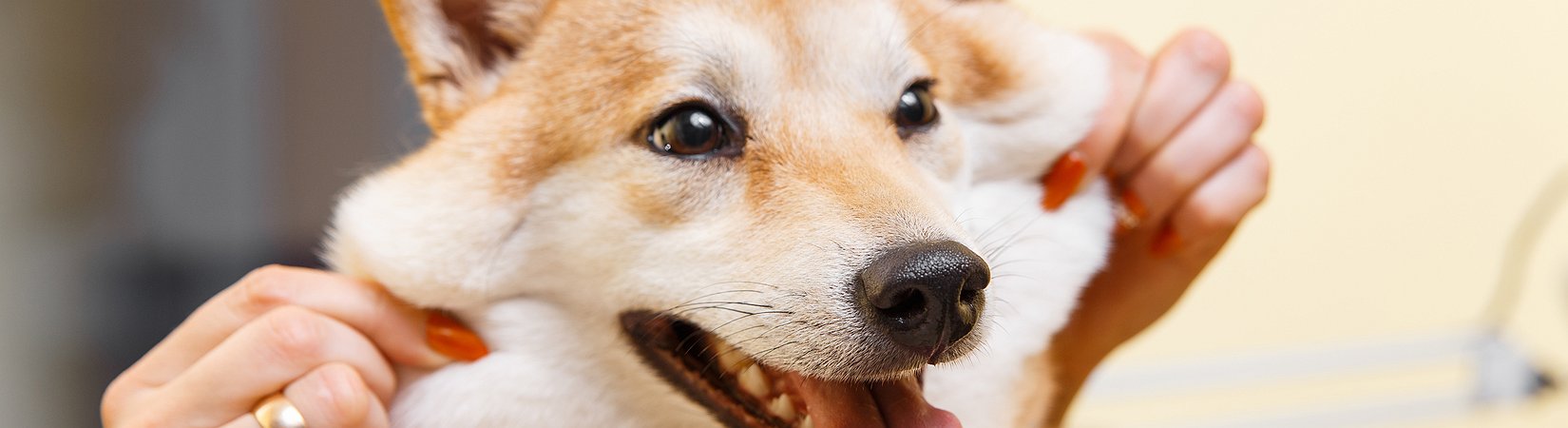 Principales noticias del 04/02/2021