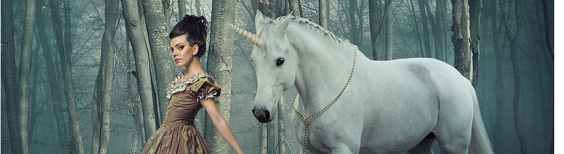 سر شركات اليونيكورن