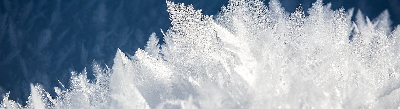 Aave Could Freeze Binance’s Stablecoin BUSD