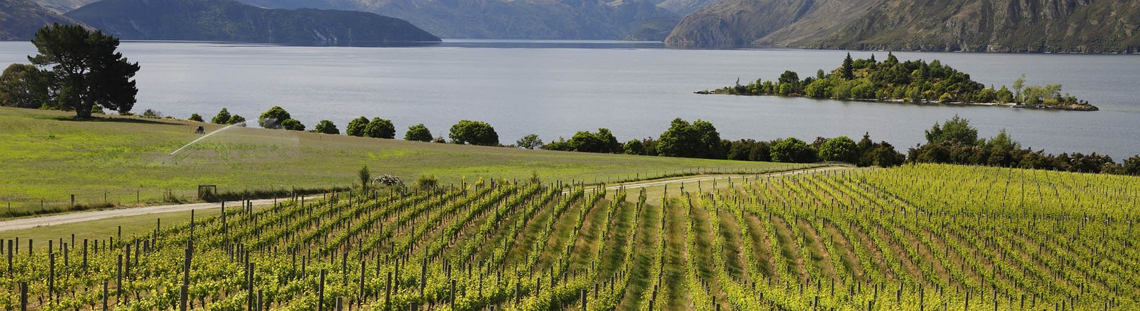 De Europa a Australia: Guía de las mejores bodegas del mundo