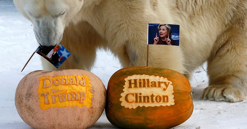 What to expect from markets tomorrow: the ultimate elections cheat sheet