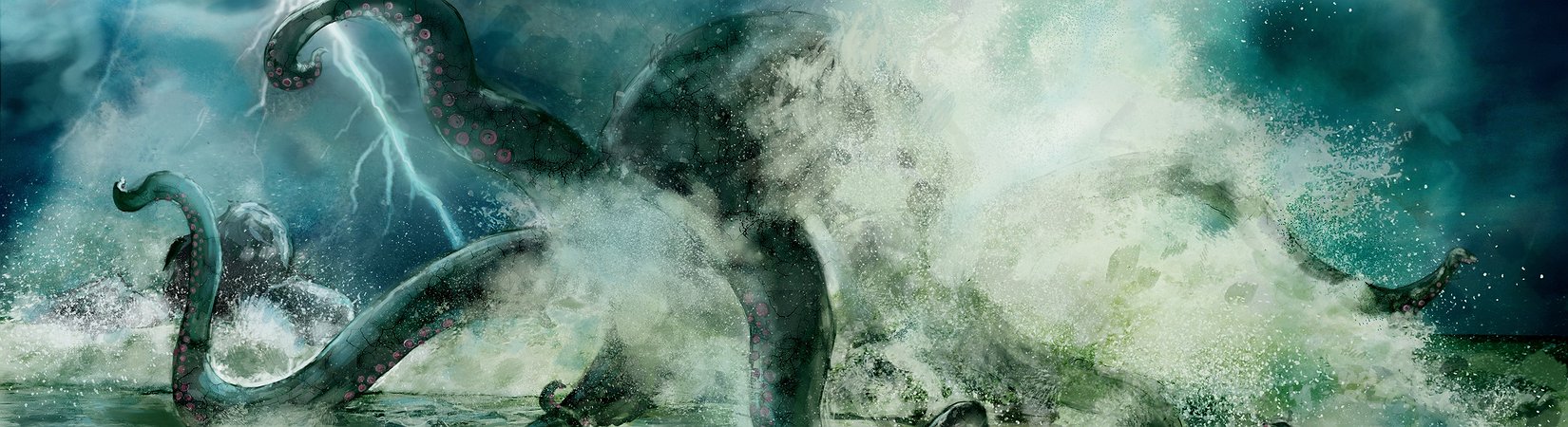 Kraken Exchange Review: All You Need to Know about