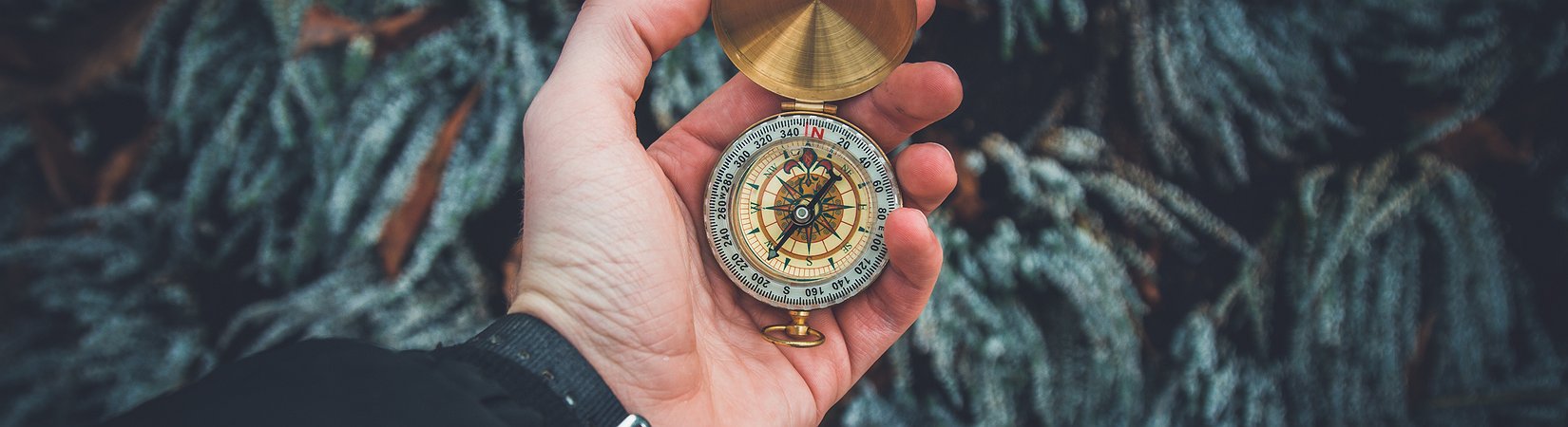 The Best In Cryptocurrencies from Alaska to Washington