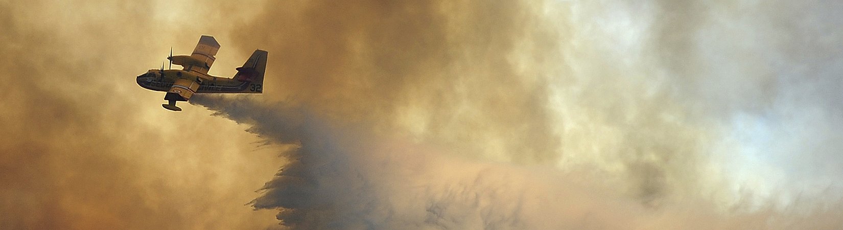 Portugal: área ardida no primeiro semestre deste ano é seis vezes superior à média dos últimos 10 anos