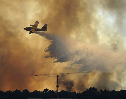 Portugal: área ardida no primeiro semestre deste ano é seis vezes superior à média dos últimos 10 anos