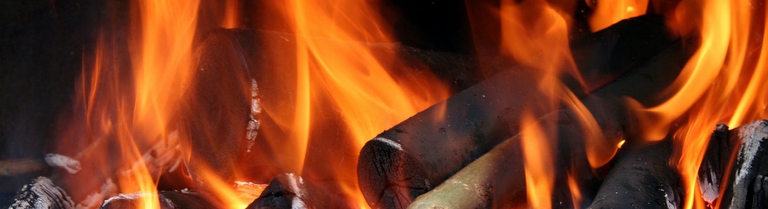 Shiba Inu Launches a Token Burning Mechanism