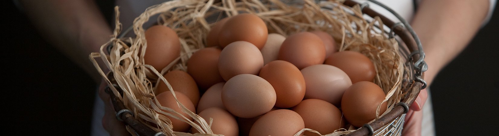 لماذا ستصبح صناديق المؤشرات سبب الأزمة القادمة