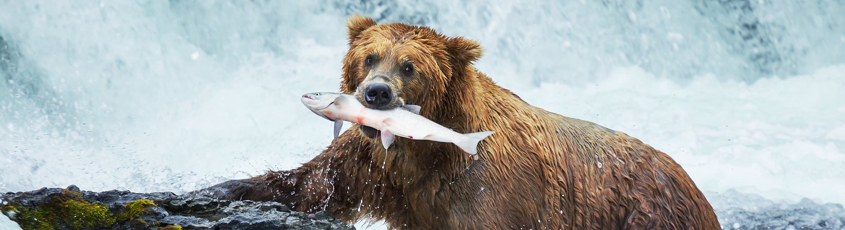 Meitu Founder owns 10000 BTC