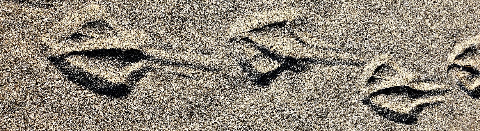 Chainalysis Rolls Out Real-Time Alerts for Suspicious Transactions Across 15 Cryptos