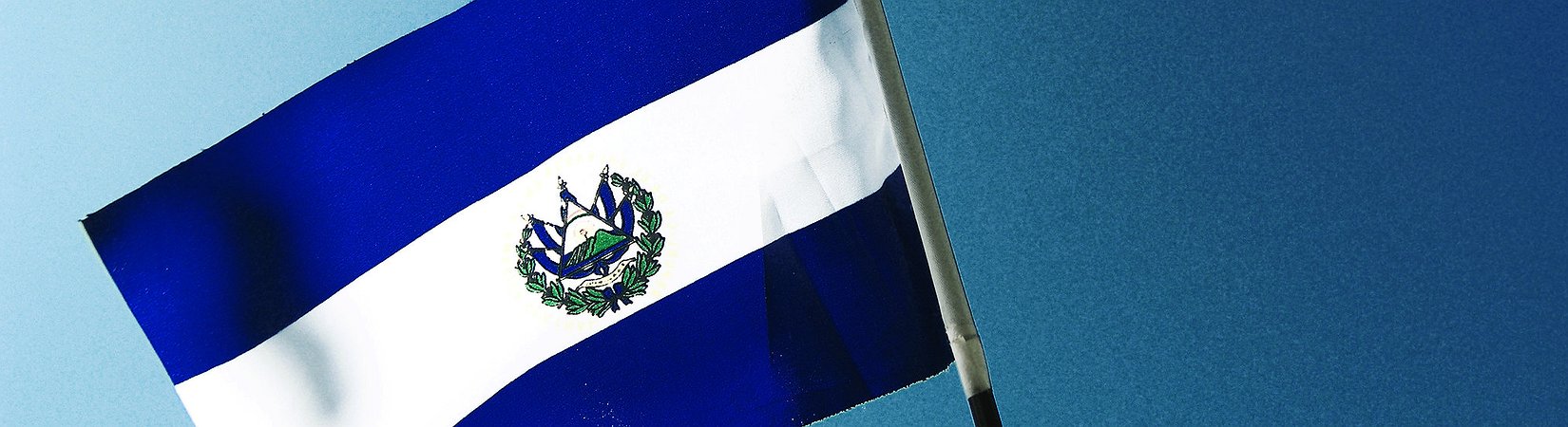 Reddit User Urges to Invest $30 in Bitcoin to Support El Salvador