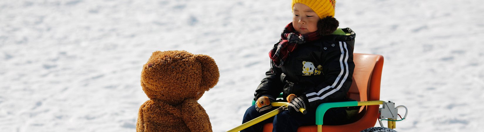 Será que um robô lhe irá tirar o emprego?