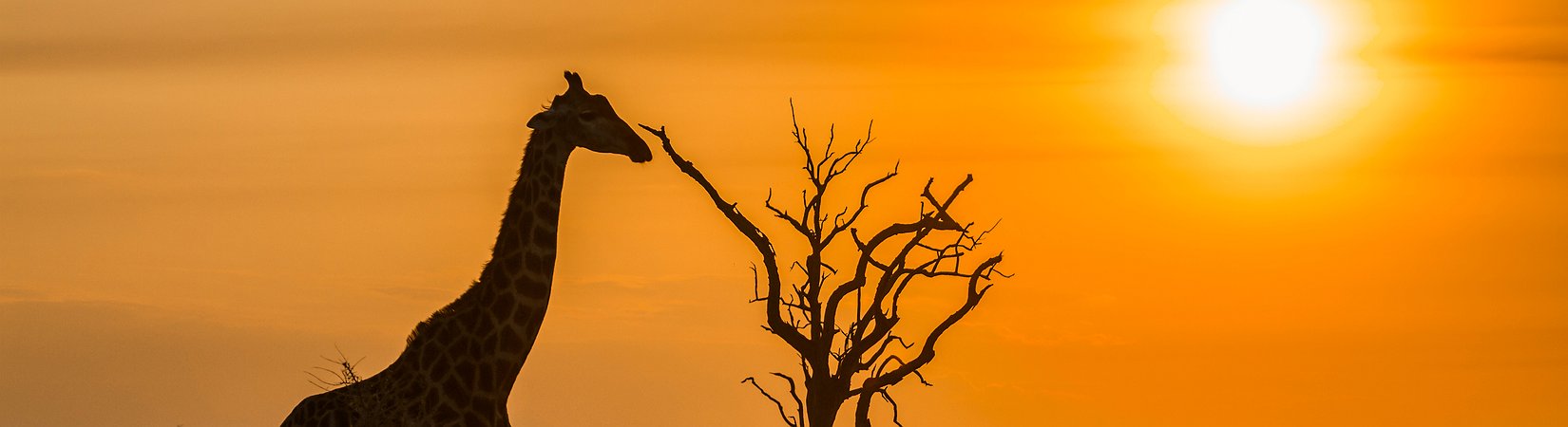 Ecobank relata presença de criptomoedas em 36 países africanos